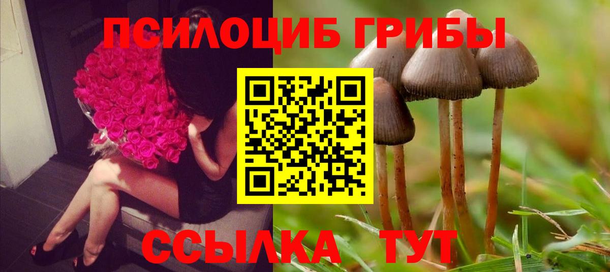 Серпухов  Галлюциногенные грибы мухоморы  Псилоцибиновые грибы мицелий  Вход с VPN 