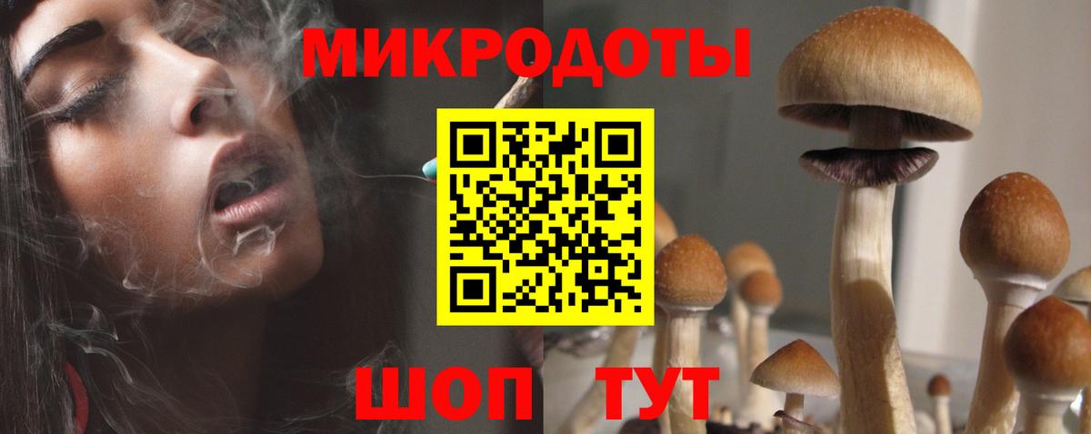 Галлюциногенные грибы GOLDEN TEACHER Серпухов